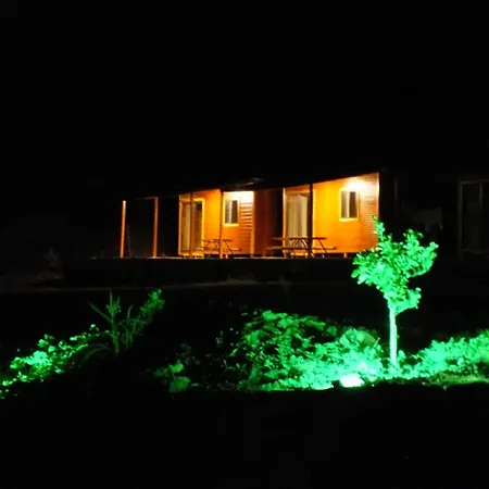 Olimpos Altun