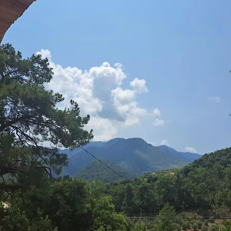Olimpos Altun